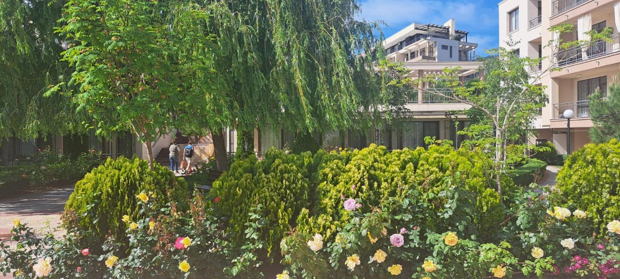 Patrick'S Apartments - Sorrento Sole Mare, Sweti Wlas Exterior foto